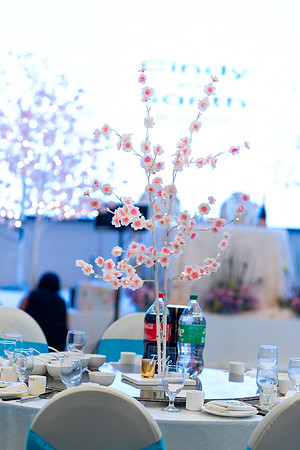 060323 - Cindy and Sarith - Reception-6
