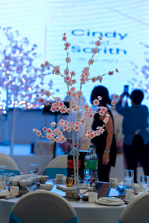 060323 - Cindy and Sarith - Reception-8