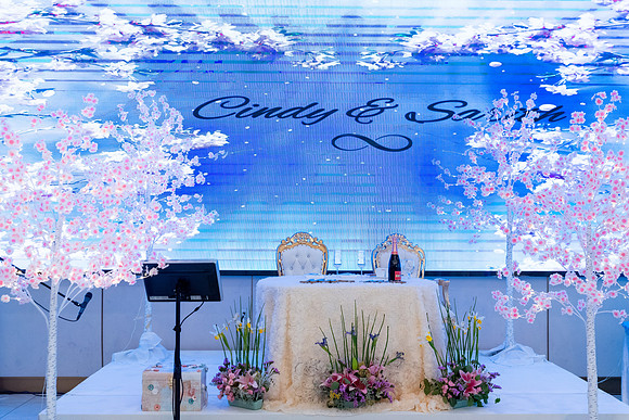 060323 - Cindy and Sarith - Reception-26